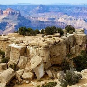 Meet your Posher, Joyce